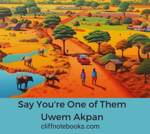 Say you're one of them Uwem Akpan cliff note books