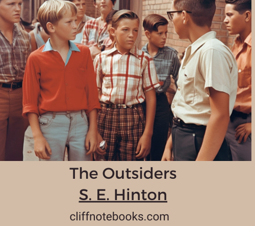 the outsiders s e hinton cliff note books