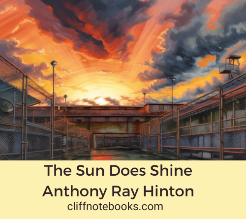 The Sun Does Shine Anthony Ray Hinton Cliff Note Books
